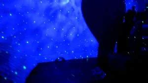 Missbella/Bellabrookz One on One JOI ASMR Full video.
